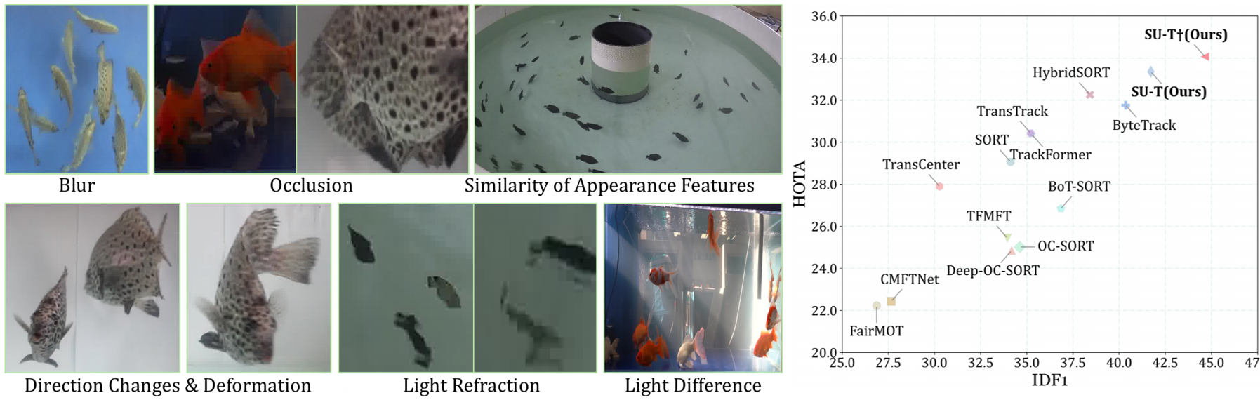 Underwater multiple fish tracking